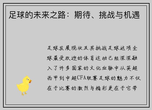 足球的未来之路：期待、挑战与机遇